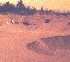 Graves